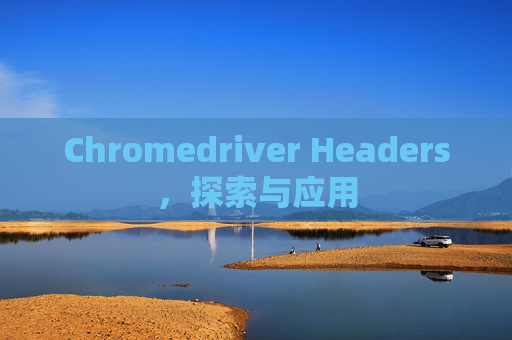 Chromedriver Headers，探索与应用
